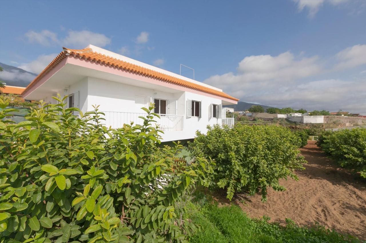 Clemente House Private Pool Villa Arafo Dış mekan fotoğraf